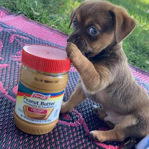 Meet your Posher, Jay